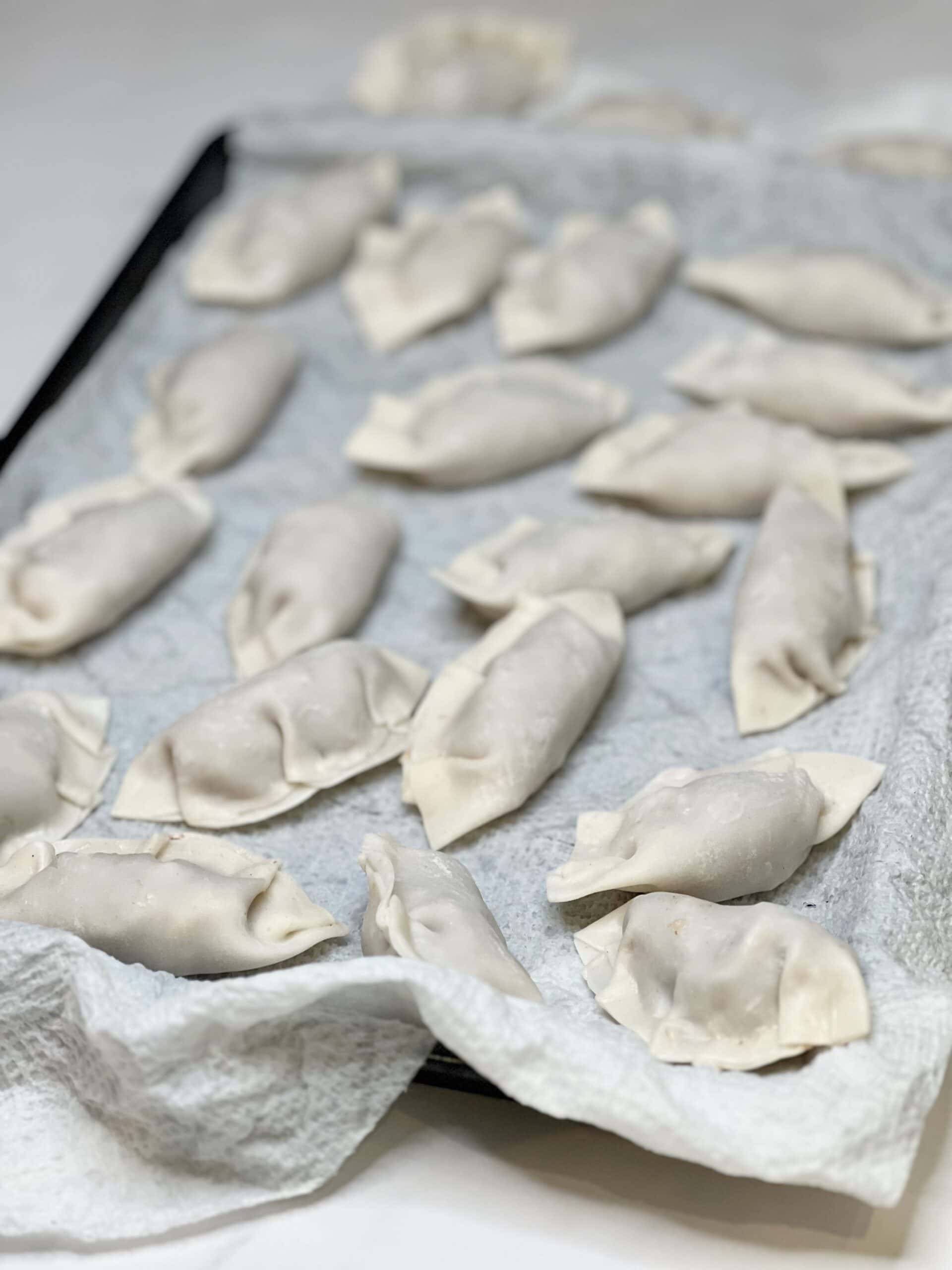 Shrimp and Pork Gyoza | Charlotte Fashion Plate